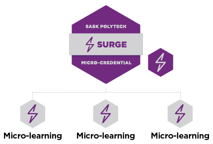 Surge Micro-credential badge advantages